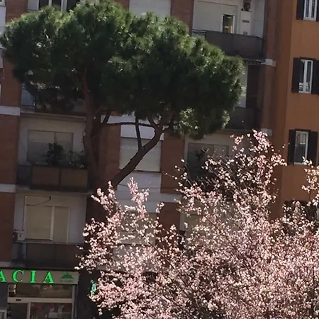 Sweet Saint Peter Apartman